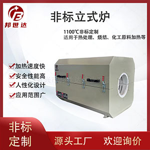 電加熱箱 熱風(fēng)循環(huán)烘箱 果蔬脫水烘干箱 非標(biāo)定制